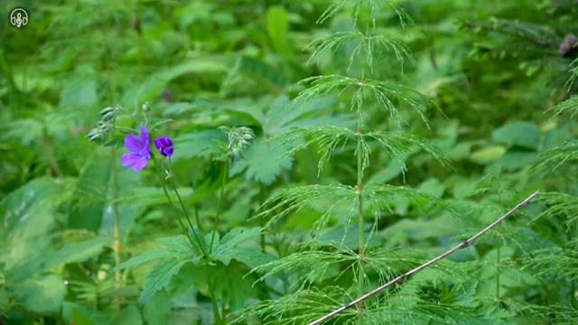  수산물품질관리원 자격증 , 손쉽게 준비한 팁