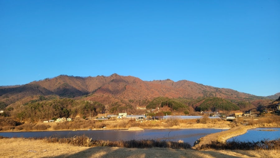 동네커피 사진 3