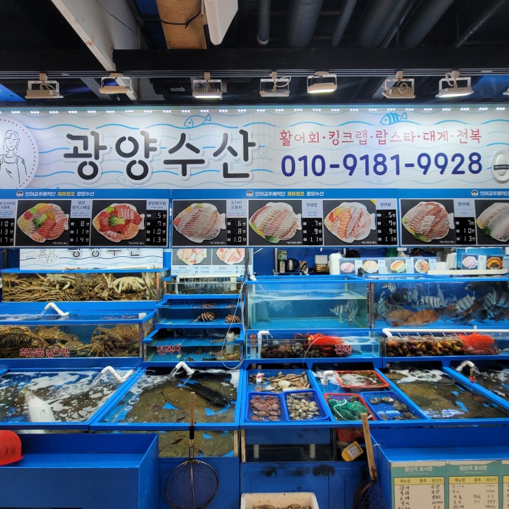  가락시장 방어 맛집 광양수산 위치 주차 포장 후기