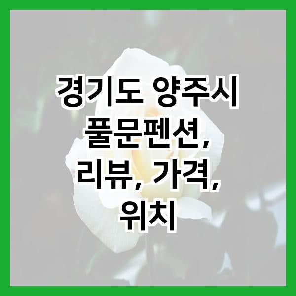 풀문펜션 사진 2