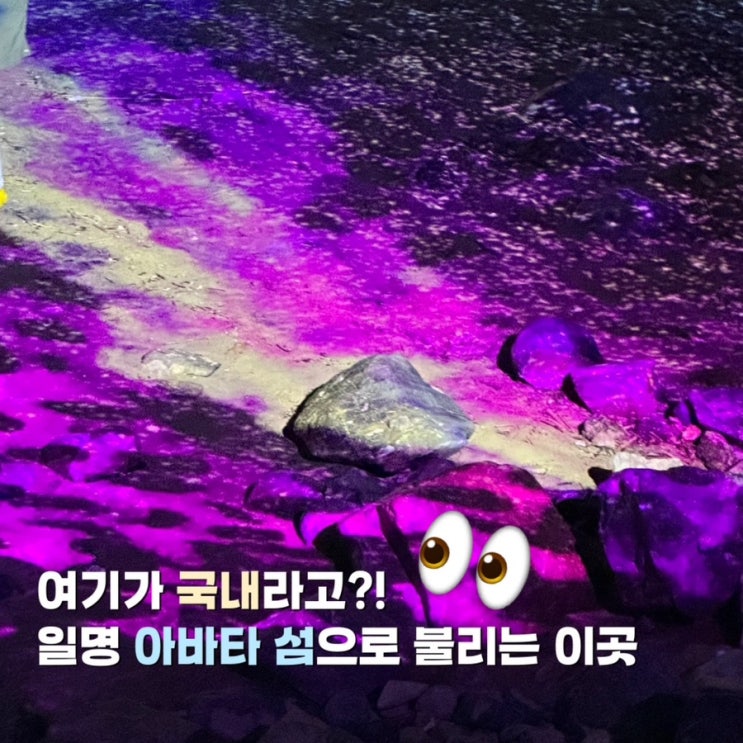  울산 야경 명소 명선도 물때 가는법 미디어아트 한국판 아바타섬