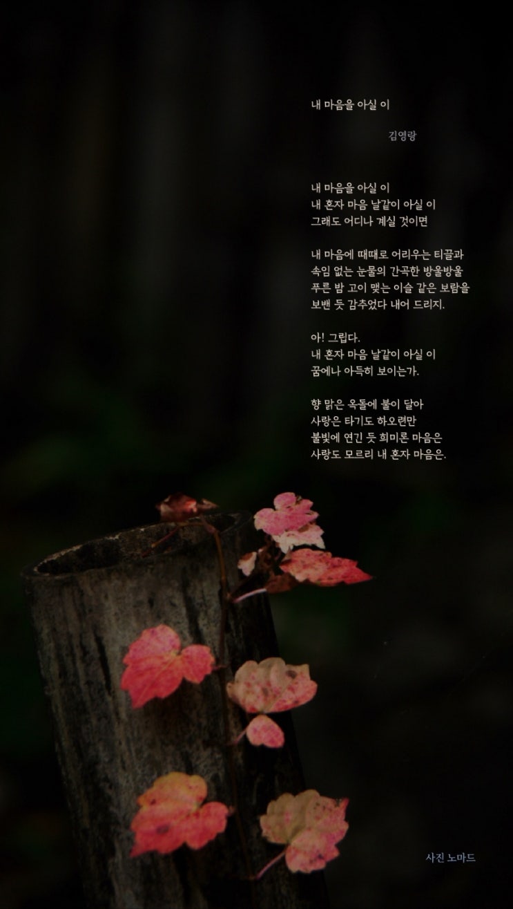 <군수사기관은 신속히 <b>방첩사령부</b>에 대한 <b>압수수색</b>을 실시하라>