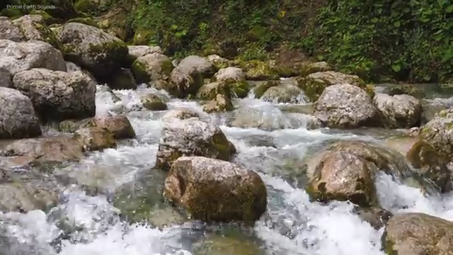  회계사 경영학 , 관련학과 졸업장 없어도 학점은행제 경영학 학위 취득할 수 있어요