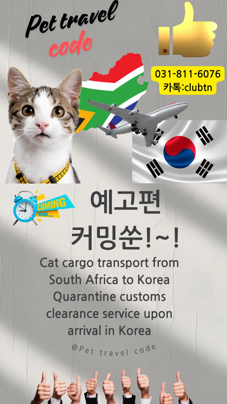  남아공에서 한국으로 반려동물 고양이 카고 운송 한국 도착 검역 통관 전문 강아지 고양이 해외에서 데려오기 서비스 [아프리카][전세계]