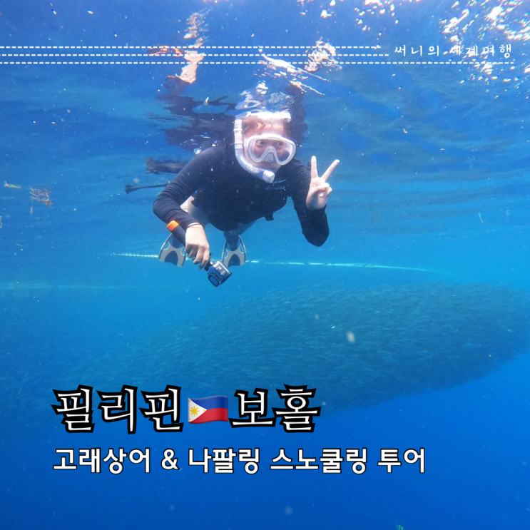 보홀 고래상어투어 시간 나팔링 정어리떼 스노쿨링 가격 준비물 보홀 고래상어투어 시간 나팔링 정어리떼 스노쿨링 가격 준비물