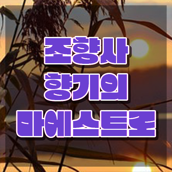  조향사 자격증 책 , 혼자서 독학으로 조향사 취득한 방법 최신정보 공유