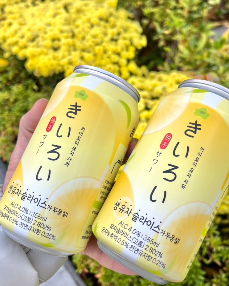  GS25 편의점신상 유자사와 생유자 하이볼 행사 가격 도수 맛 후기