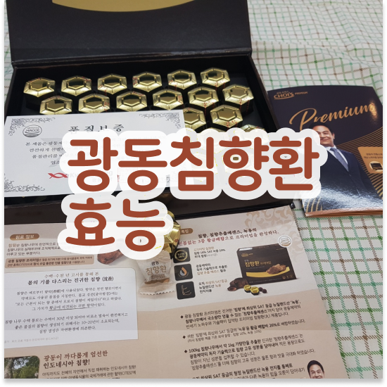  몸이무거워요 품격있는 선물 침향환 프리미엄 총정리