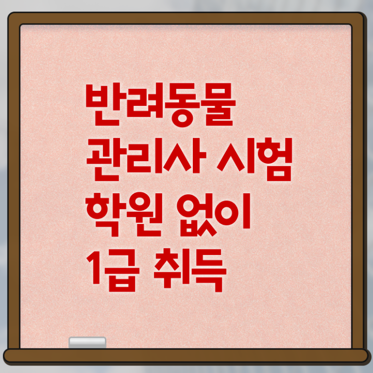  반려동물 생활관리사 , 반려동물관리사 자격증 준비한 방법 알아볼게요