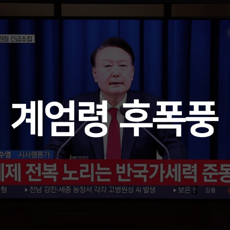  대한민국 사회가 직면한 비상계엄령후폭풍 문제에대해 알아보자