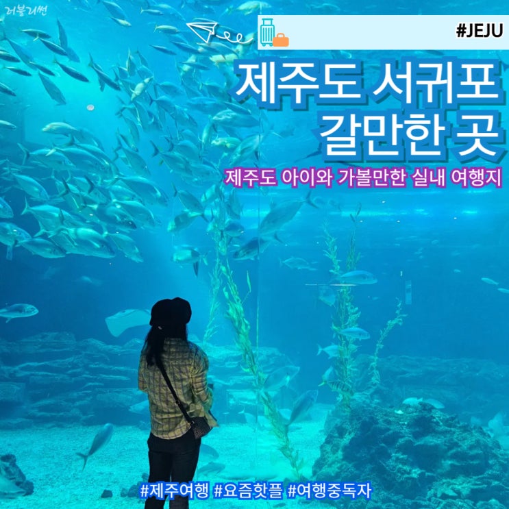  제주도 놀거리 아이와 서귀포 갈만한 곳 제주 아쿠아플라넷