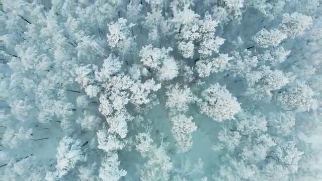  동남아 여행 시기 , 여행 전문가 가 패키지 별로 비교해 드립니다. (무료 서비스)