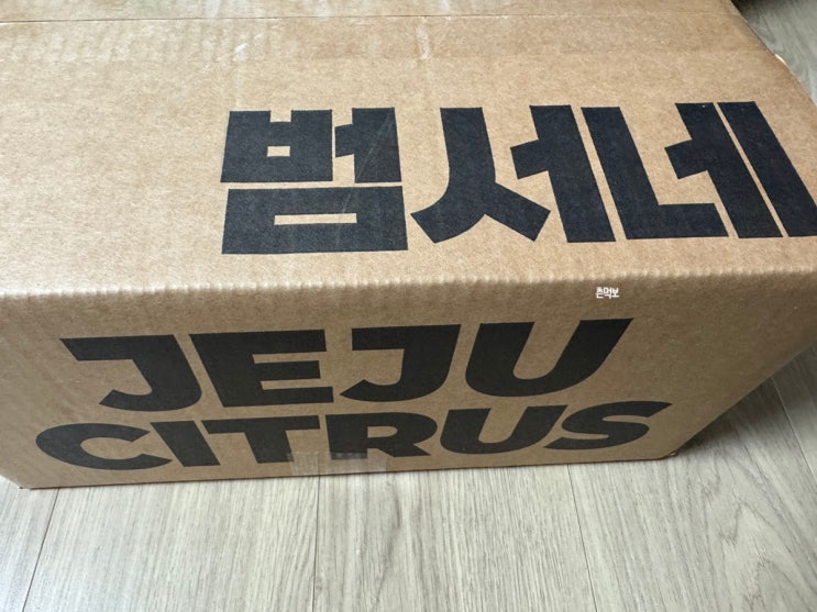 범서네 제주 노지 타이벡 감귤 직접 구입 택배 후기 / 제주도 스마트스토어 고당도 맛있는 노지 감귤 맛집