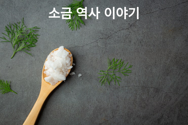  우리의 역사 속의 소금 이야기~