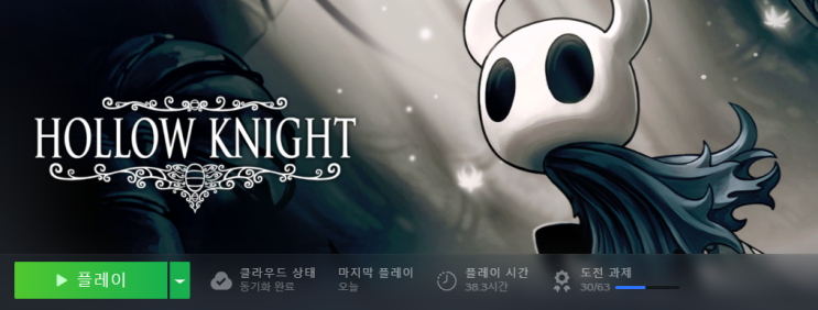  할로우나이트 엔딩 봤다(스포 주의)