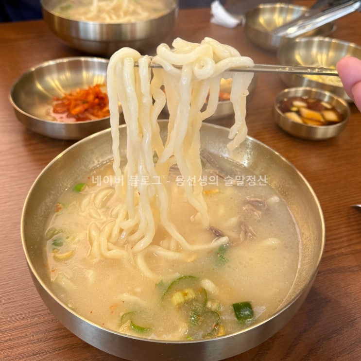  [대전 둔산동 점심]소담칼국수 내돈내산 물만둣국 해물부추전 솔직리뷰(을지대병원 맛집)