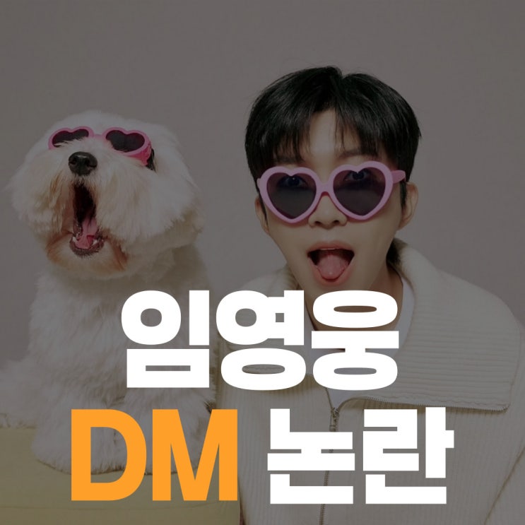 <b>임영웅</b> 탄핵 정국 속 DM<b>논란</b> "제가 정치인 인가요?"
