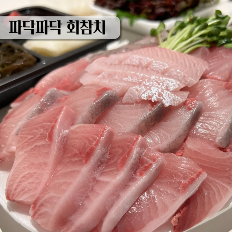  용인 횟집 대방어철 파닥파닥 회참치 대방어 배달 포장