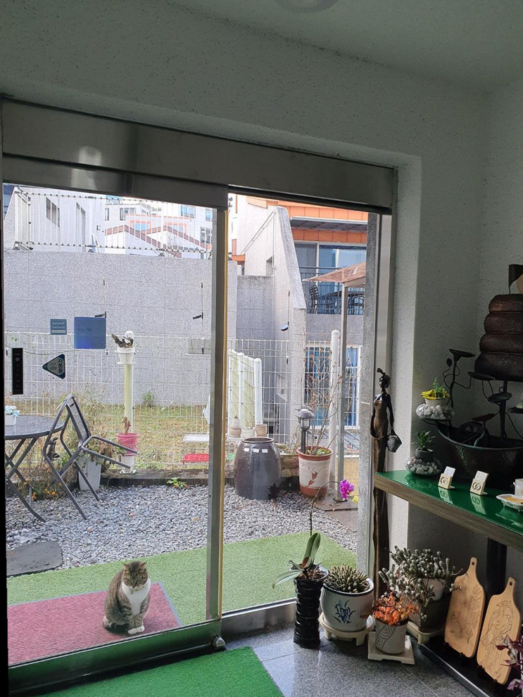  스파 시설과 멋진 리버뷰가 매력적인 남이섬 투투 스파펜션