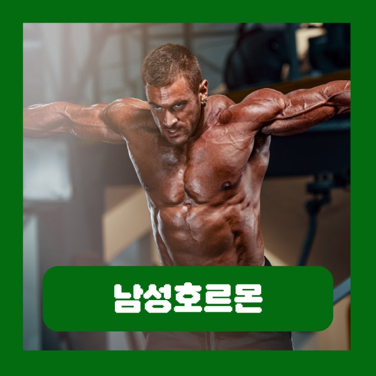  남성호르몬 높으면 좋을까 유리 테스토스테론 수치 정상범위