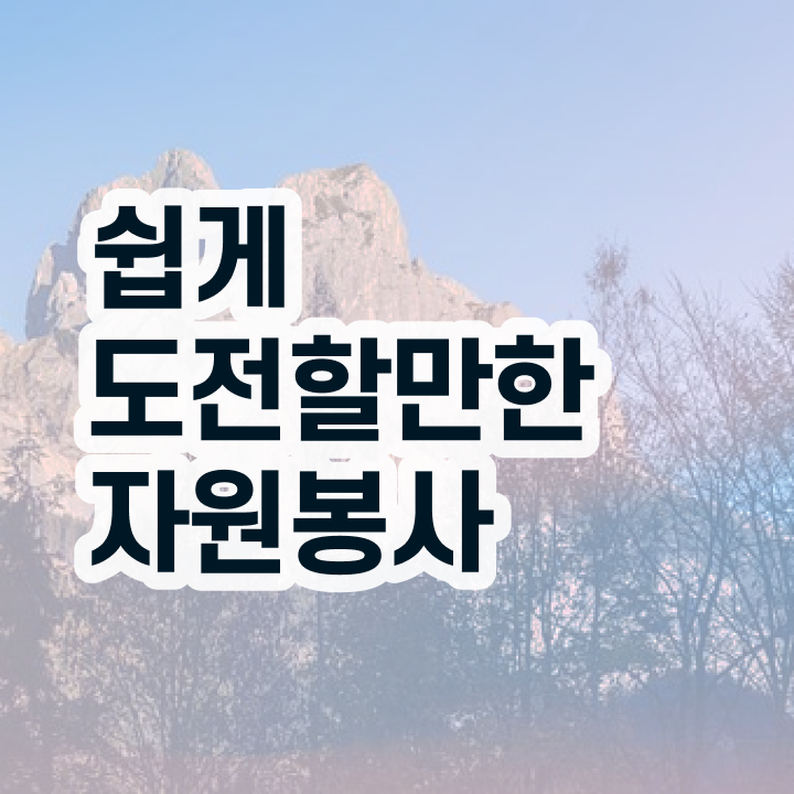  자원봉사지도사 학점은행제 , 자원봉사지도사 자격증 직장인도 쉽게 취득한 과정 요약해봤어요