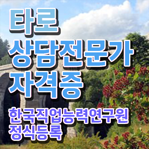  취업 자격증 추천 , 타로상담전문가 단기간에 준비했던 방법