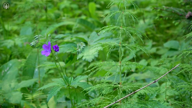  사회복지자격증학점은행 , 사회복지사2급 고졸자도 온라인 수업으로 빠르게