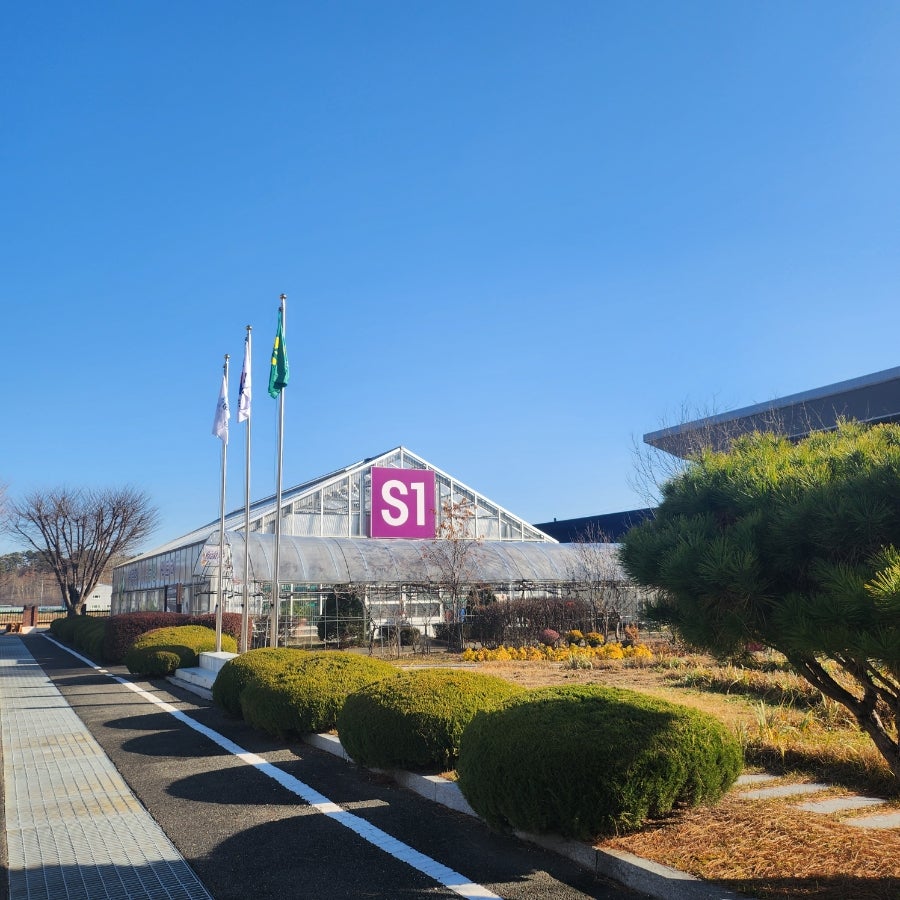 카페말라이카 사진 1