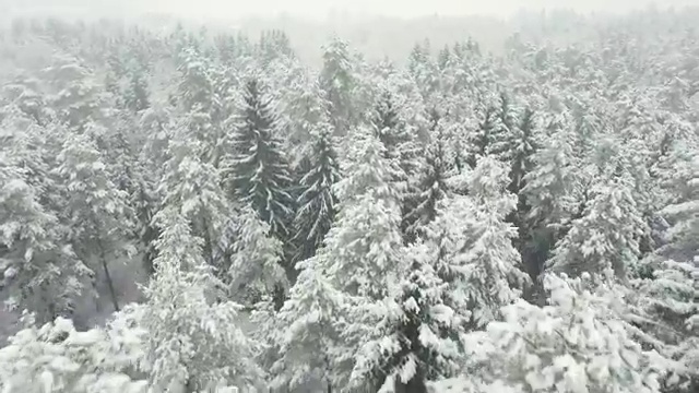  성인심리 상담 , 심리상담사 자격증 취득한 정보 정리해봤어요