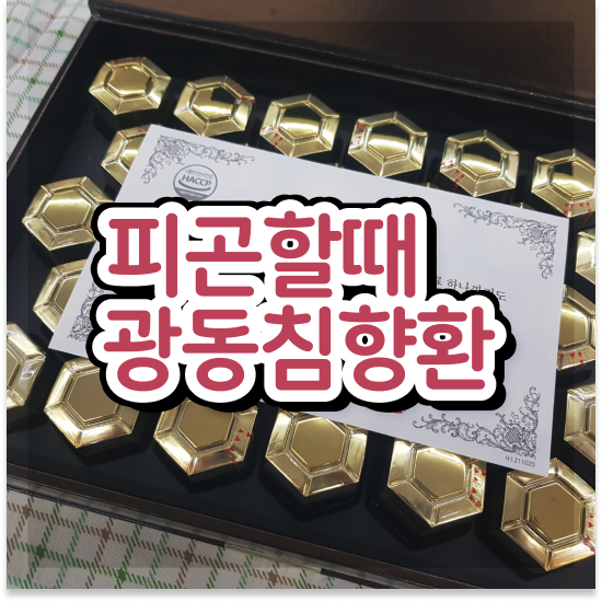  침향환 성분 원기회복 명품침향 최저가 링크