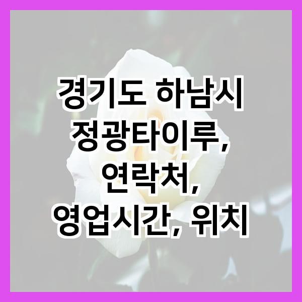 정광타이루 사진 1