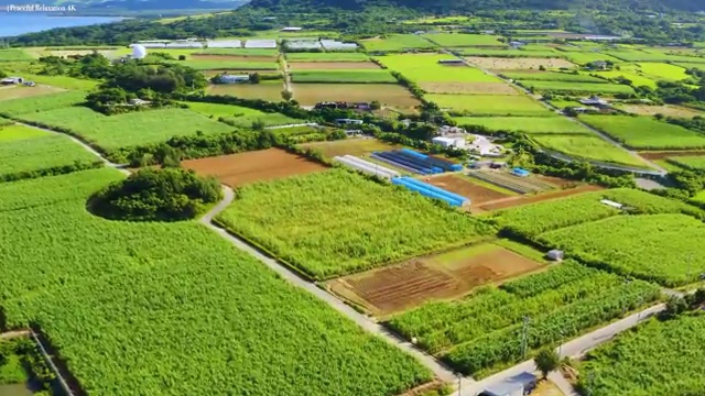  수원시 장안구 파장동 SK 매직 스스로직수 직수 얼음정수기 최저가보장 사용 리뷰 스마트 해요.