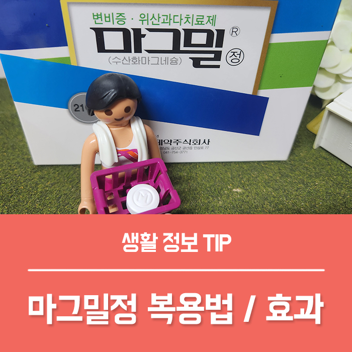  마그밀정 효과 복용법 부작용 마그밀에스정 차이는?