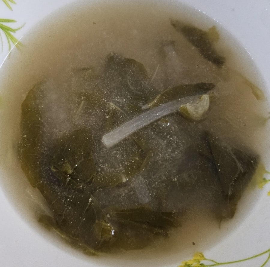 어통가 사진 5