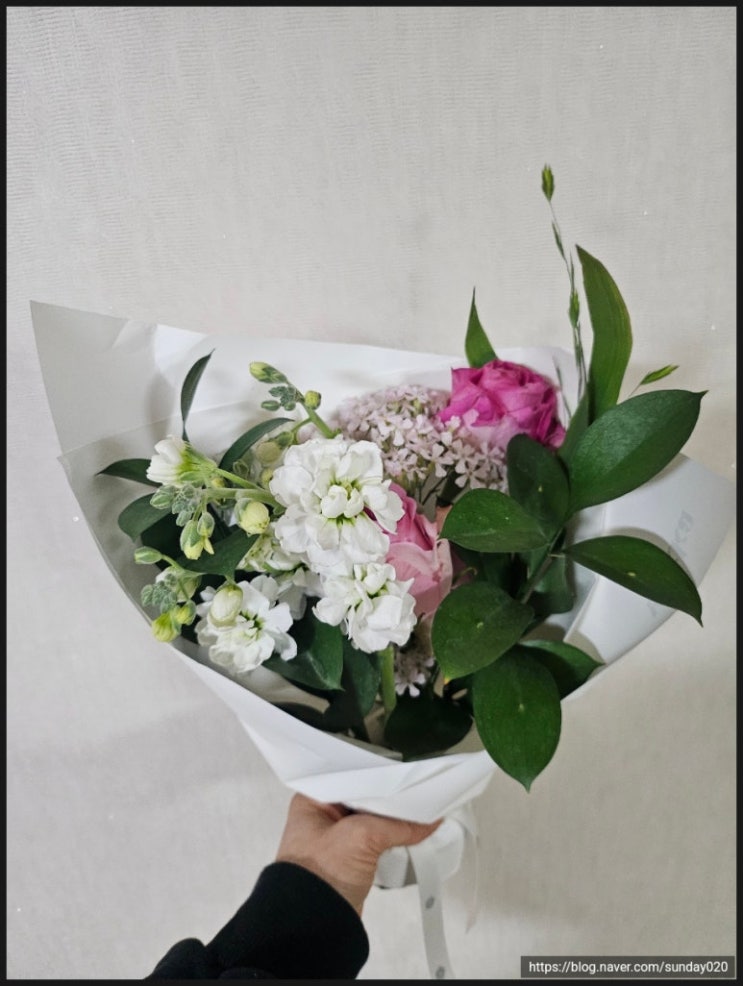  kt-무료 꽃다발 주문하는 방법