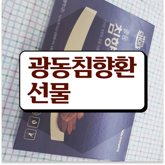  광동 침향환 프리미엄침향환 효능 기력찾기 분석해보자