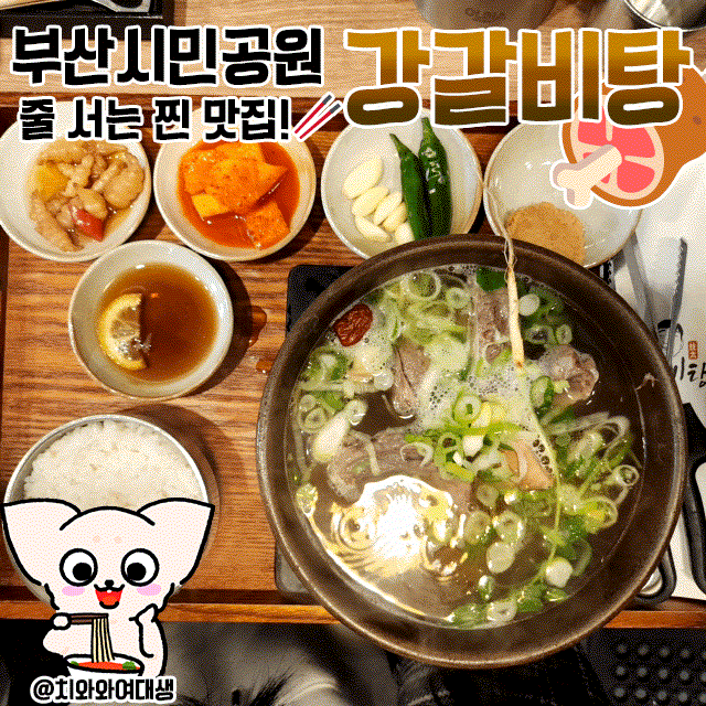  부산 시민공원 맛집 강갈비탕 깔끔한 밥집 추천