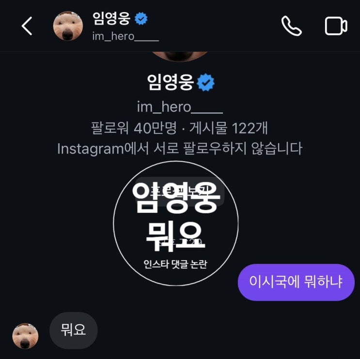  임영웅 탄핵 중 인스타 DM 뭐요 발언 논란!