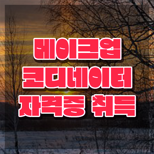  , 메이크업코디네이터 자격증 한달 만에 취득했던 후기 , 활용 방법