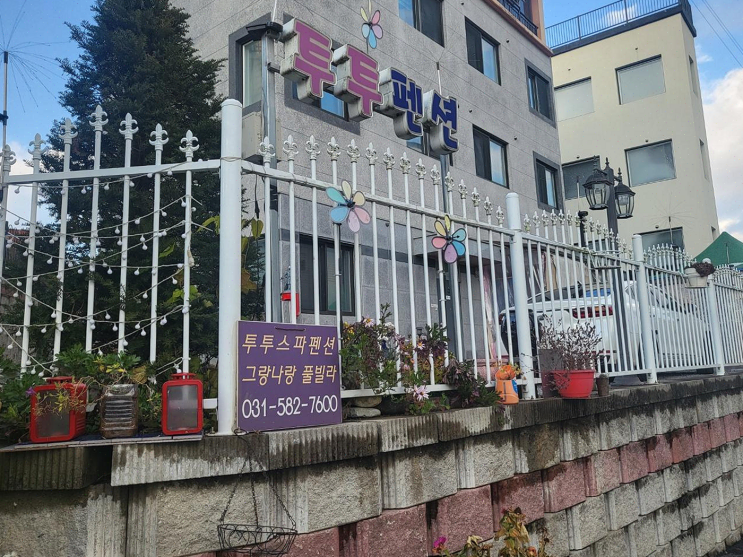  초겨울 가족과 함께 행복한 추억을 남긴, 가평 남이섬 투투 스파펜션