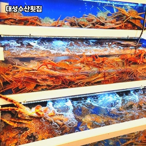대성수산횟집 사진 3