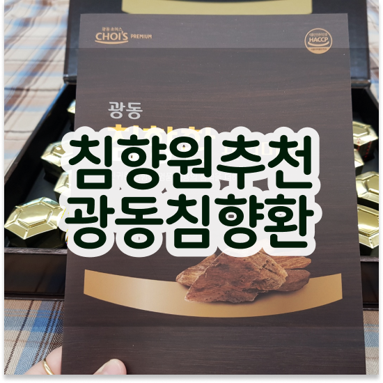  침향단 추천 활기차게 체크하세요