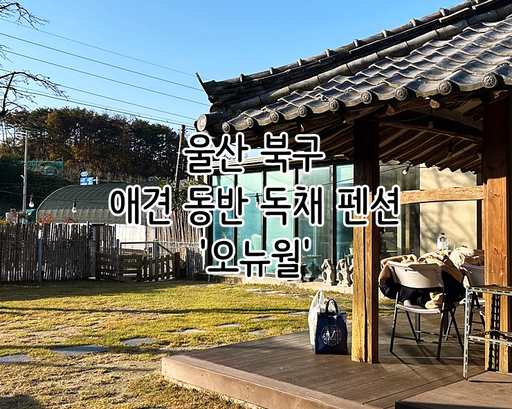  울산 북구 애견 동반 독채 펜션 '오뉴월'