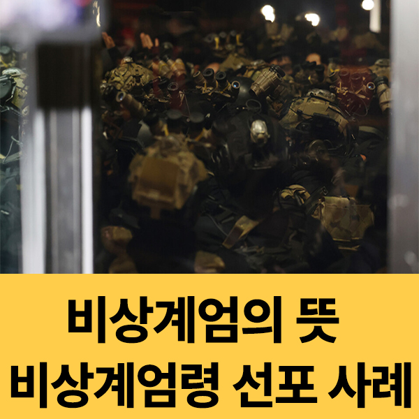  비상계엄과 비상계엄령 선포 사례