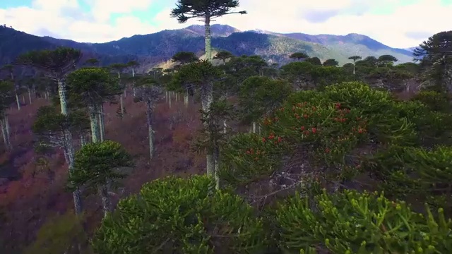 병원 코디네이터 자격증시험 , 병원코디네이터 자격증 쉽고 간편하게 준비한 과정 및 활용 방법