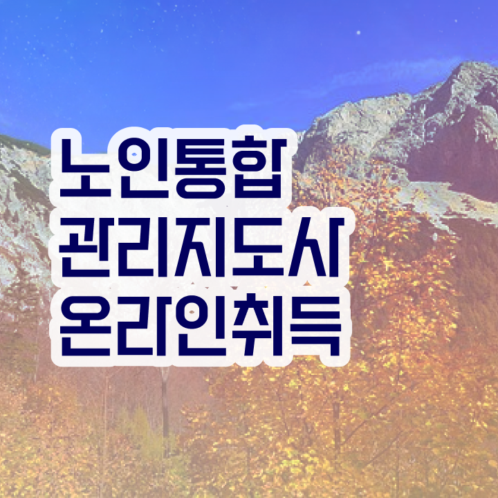  노인미술지도사 , 노인통합관리지도사 자격증 합격한 전략 정리