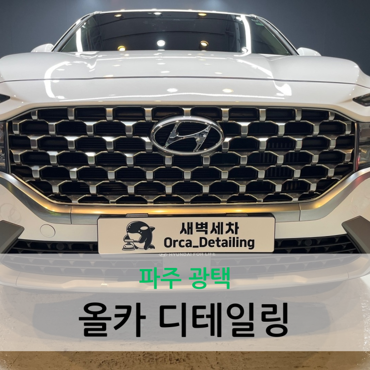  파주 광택 새차 광택 전문숍 올카 디테일링