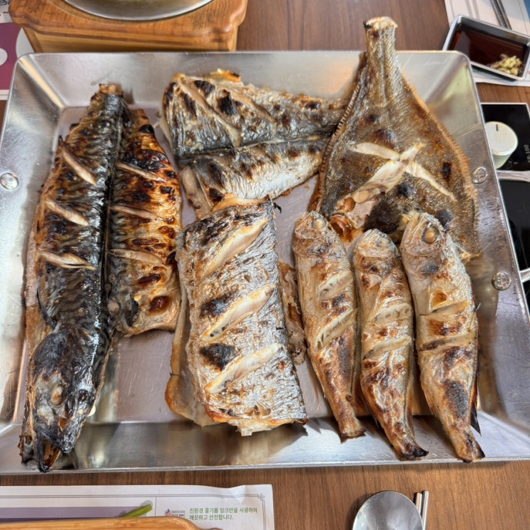  세종 고등어밥상 리뷰, 화덕 생선구이와 솥밥 맛집 추천