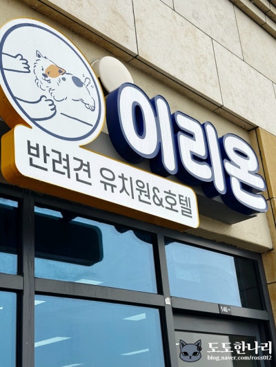 사진 8