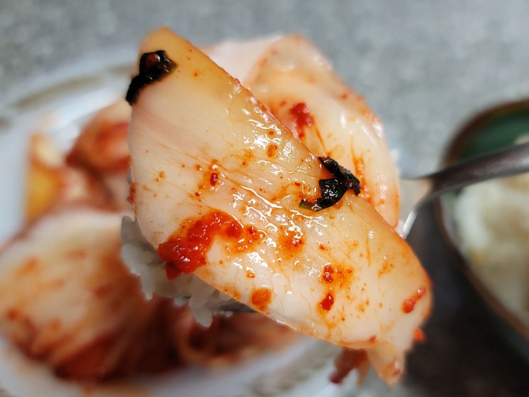  맛있는 수제 국산김치 추천! 호텔김치 플래노프 프리미엄김치